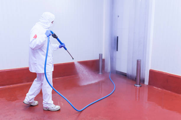 Professional Pressure Washing in Middleborough Center, MA
